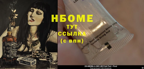 прущие грибы Пестово