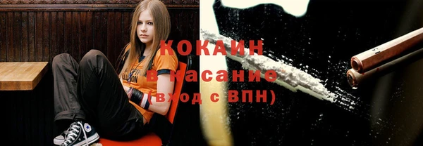 амф Алексин