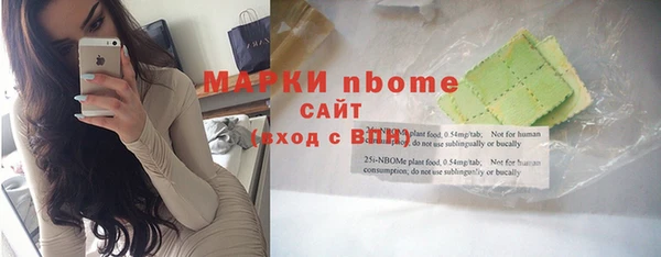 apvp Алзамай