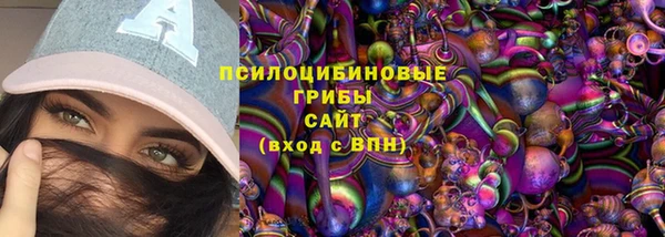 круглые Алексеевка