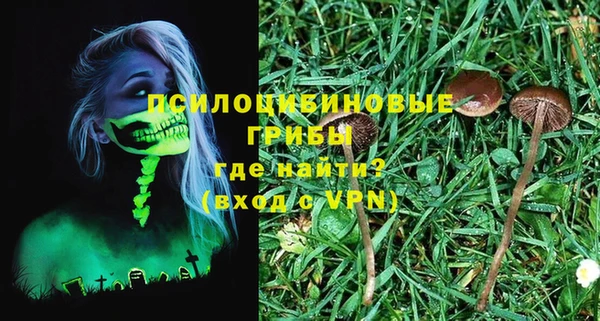 амф Алексин