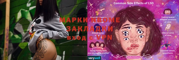 apvp Алзамай